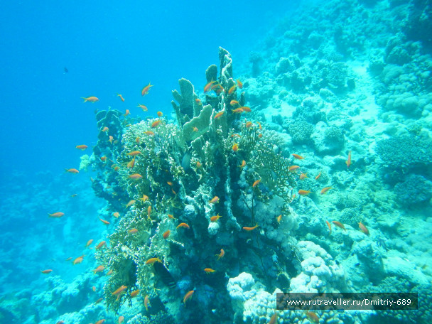 photo 645755
