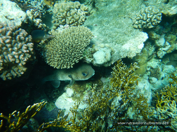photo 645761