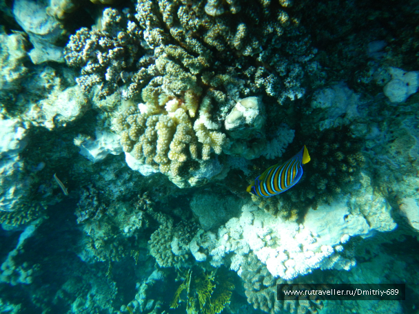 photo 645762