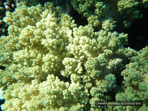 photo 645763