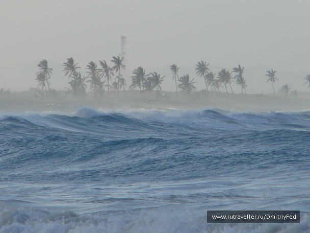 photo 671924