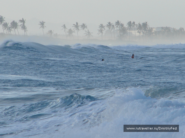 photo 671925