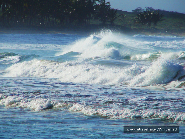 photo 671926