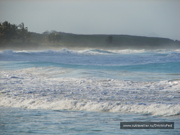 photo 671929