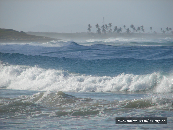 photo 671930