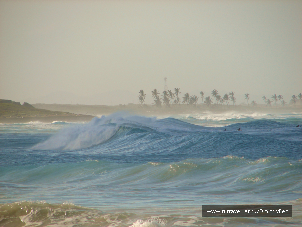 photo 671931