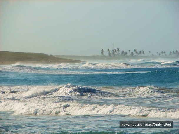 photo 671934