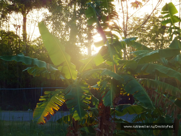 photo 674005
