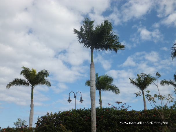 photo 674015