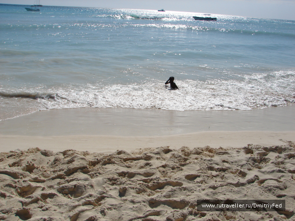 photo 676031