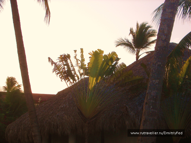 photo 676070