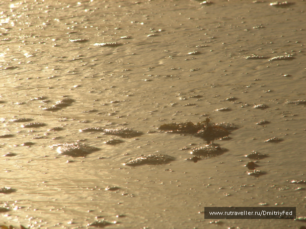 photo 676080