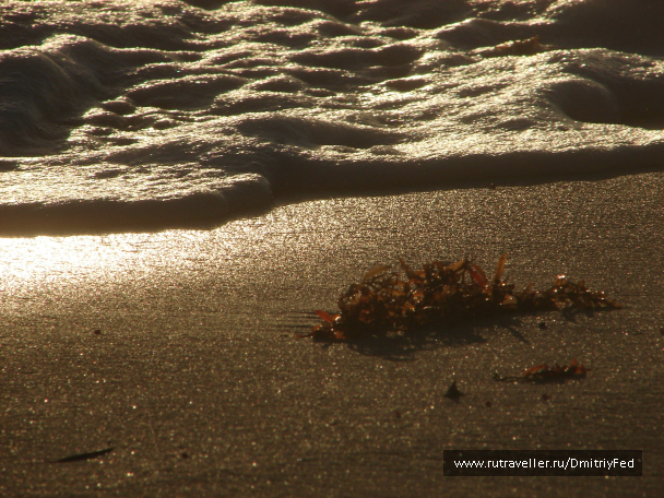 photo 676081