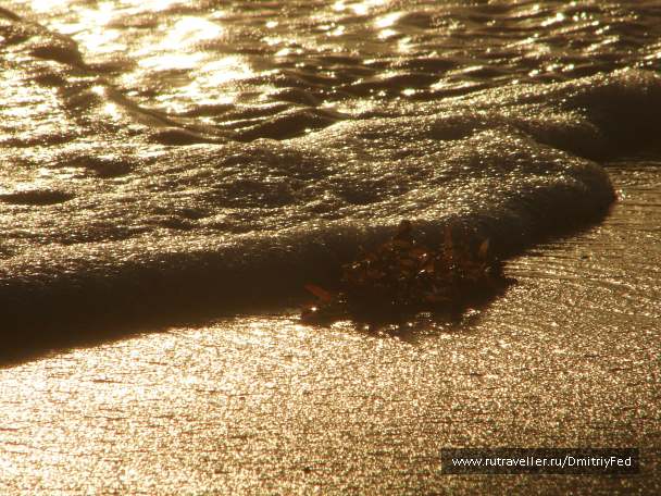 photo 676083