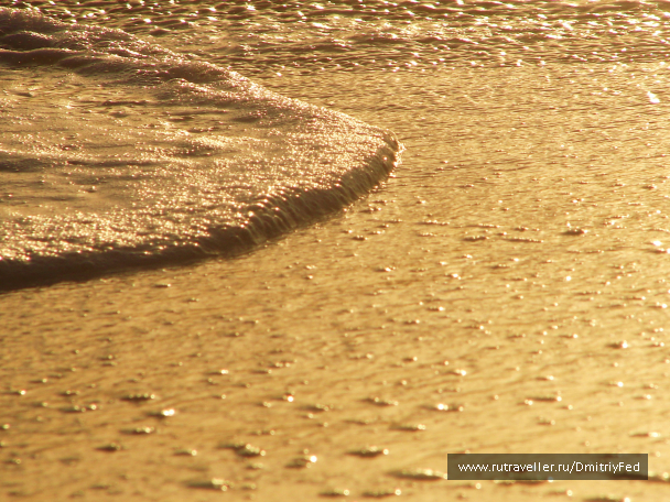 photo 676097