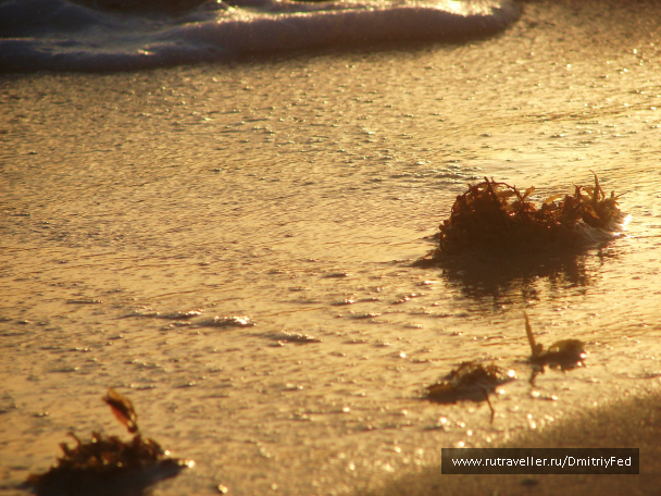 photo 676110