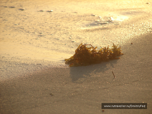 photo 676111