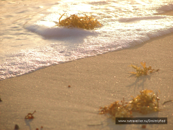 photo 676112