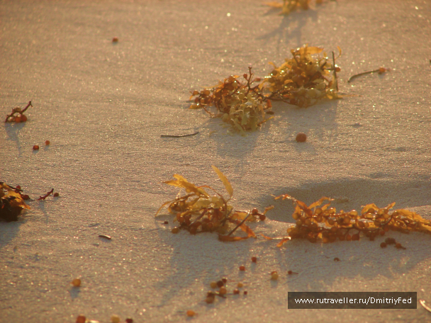 photo 676113