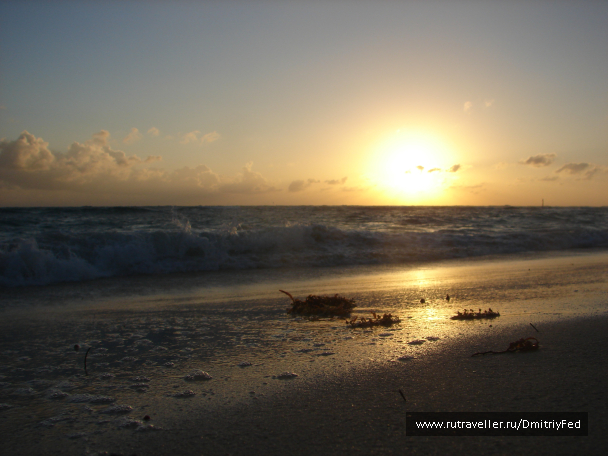 photo 676115