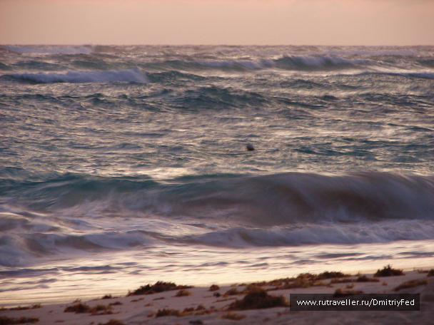 photo 677191