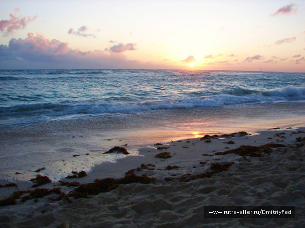 photo 677199
