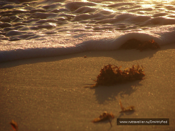 photo 677212