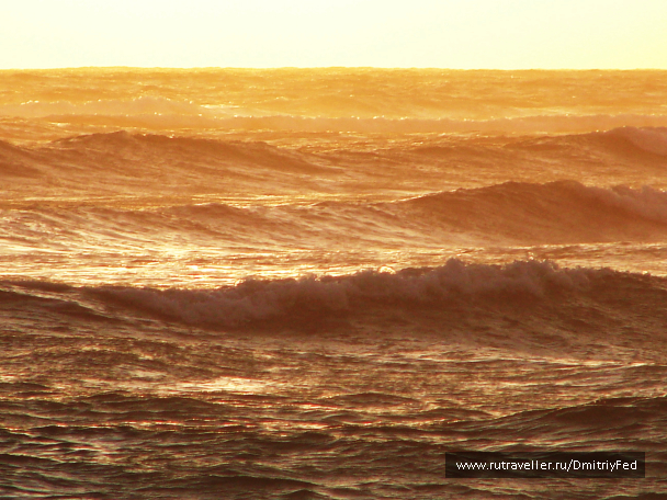 photo 677213