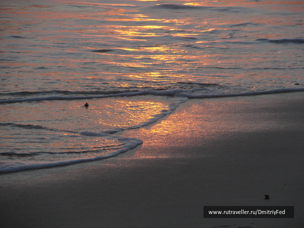 photo 677235