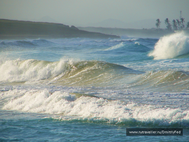 photo 678964
