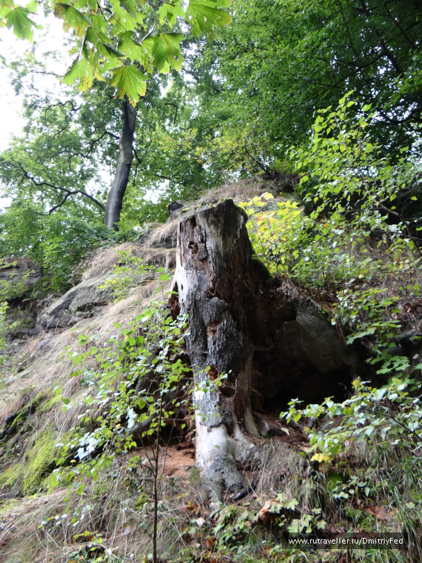 photo 710516