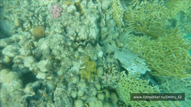 photo 57682