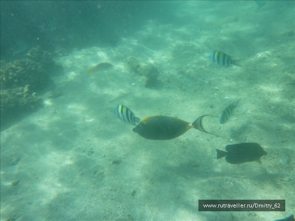 photo 57697