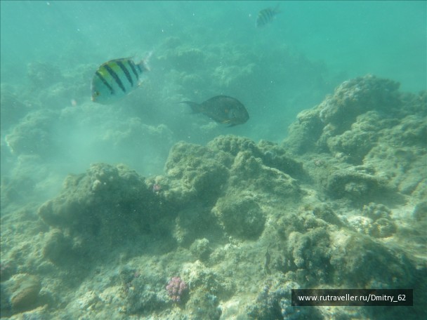 photo 57698