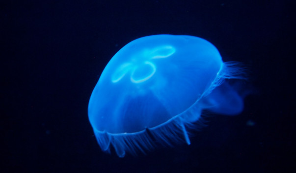 P9035598