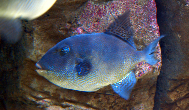 P9035551