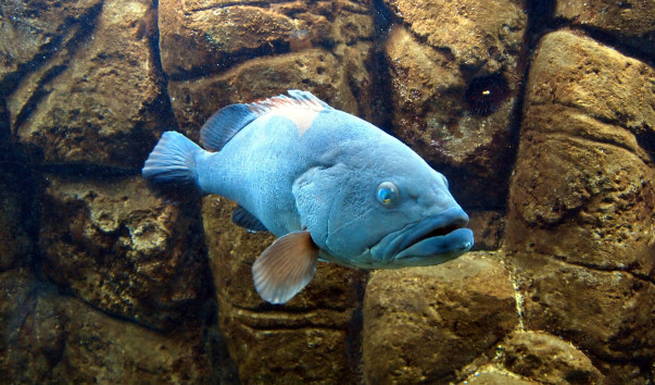 P9035432