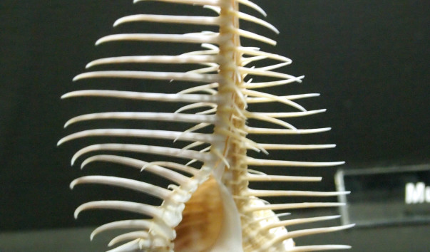 P9035404