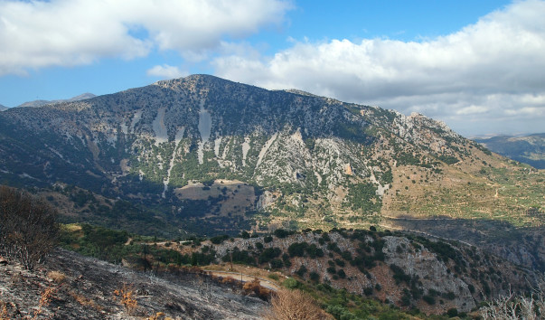 P9045834