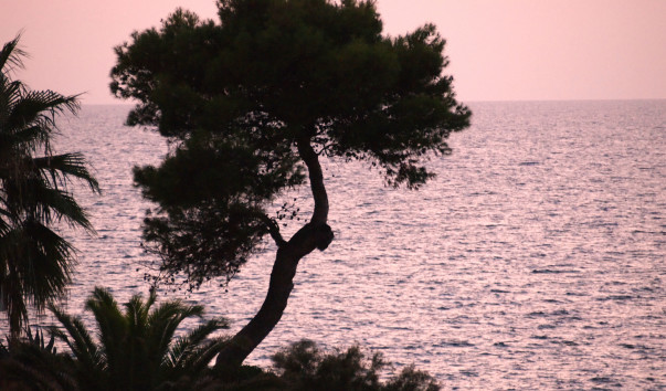 Cala Blanca