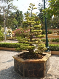 photo 969549