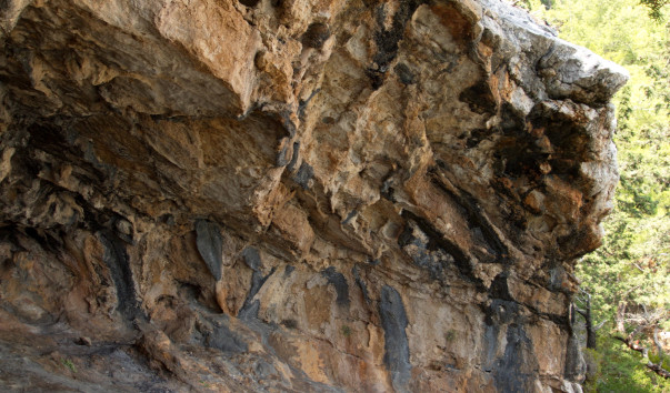 P9209644