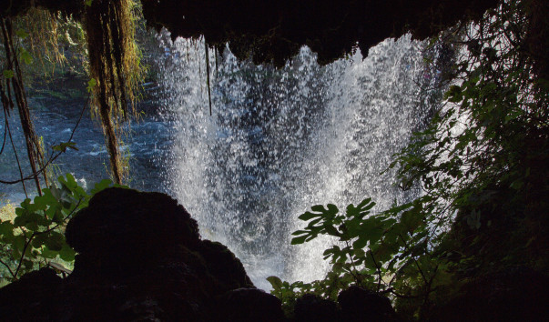 P9179505