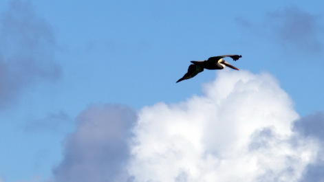 photo 1743058