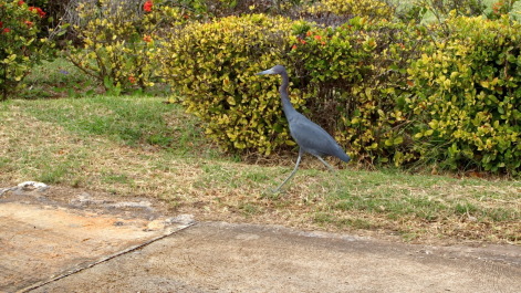 photo 1743064