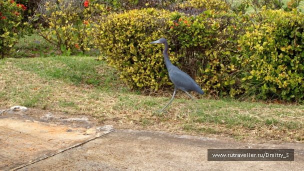 photo 1743064