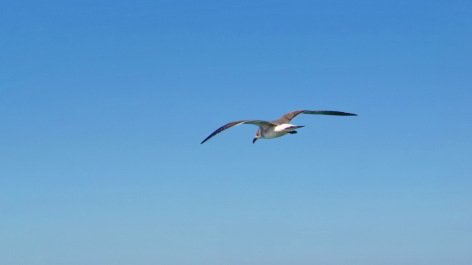 photo 1743076