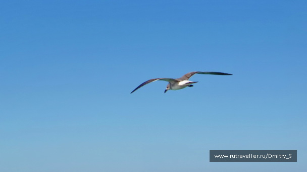 photo 1743076