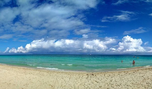 2019-02-02 11-54-33