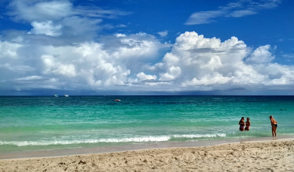 2019-02-02 11-53-46